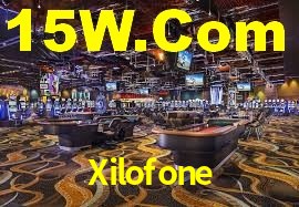 Premium Interface Xilofone
